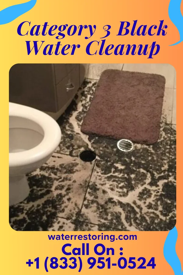 Category 3 Black Water Cleanup in Baltic, OH