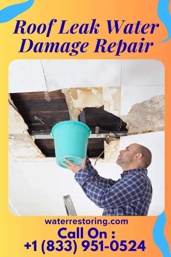 Roof Leak Water Damage Repair in Baltic, OH