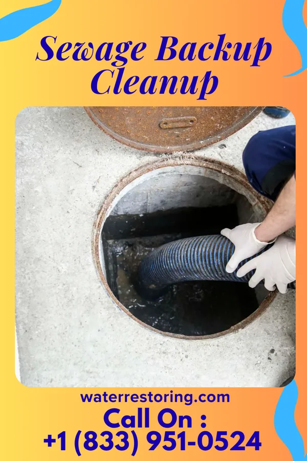 Sewage Backup Cleanup in Baltic, OH