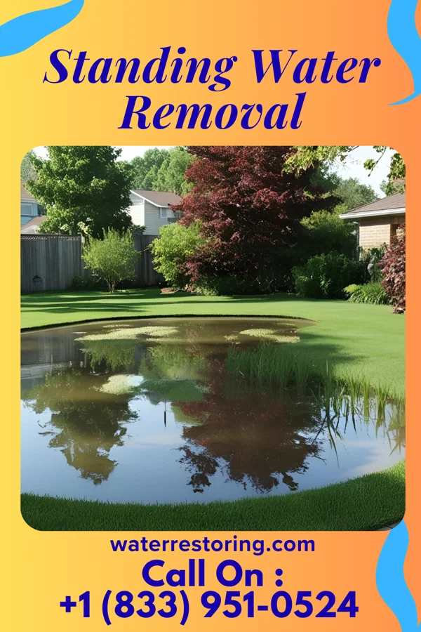 Standing Water Removal in Baltic, OH